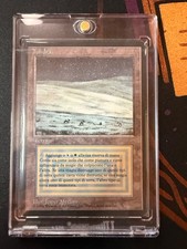 foregin black border tundra dual land (italian) MTG Near Mint