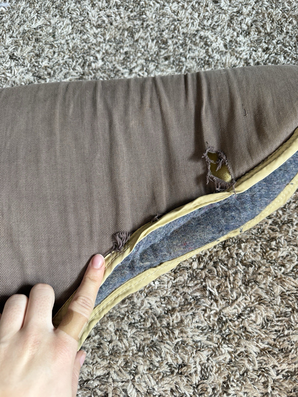 Big D Padded Wool Bottom Bareback Pad