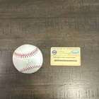 Dustin Pedroia Autographed Official MLB Baseball Steiner Sports Boston Red Sox