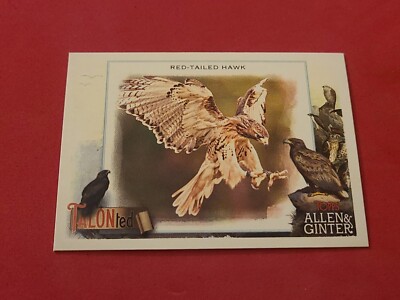 2023 Red-Tailed Hawk Topps Allen & Ginter #TT-20 TALONted Insert 