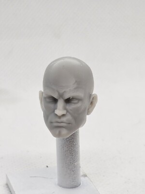 3d Printed DC COMICS LEX LUTHOR Head 1:12  6'' Classified Legends Scale