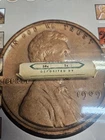 Roll Of 30-39 Wheat Pennies  Vintage Pennies Coin Collecting Penny