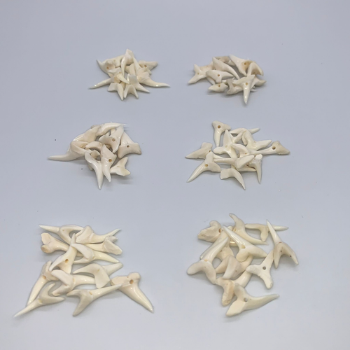 Mako Shark teeth real natural for making jewelry 0.75" in 120 pieces - Picture 2 of 12