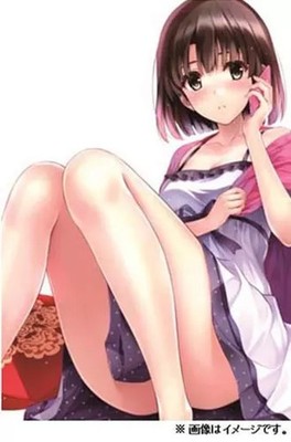 Kato Megumi Box With Body Pillow Cover How To Raise A Boring Girlfriend