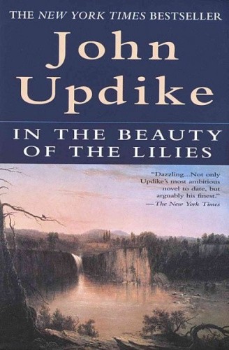In the Beauty of the Lilies by Updike, John [Paperback]