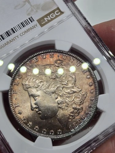 1886 P Morgan Silver Dollar NGC MS63 -75- Beautifully Pink Blue Toned Coin