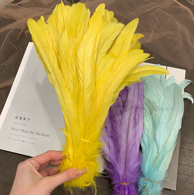 100×Rooster Tail Feather Fading Color Feather DIY Performance Decoration 30-35cm