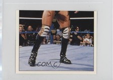 1997 Panini WWF Superstars Album Stickers Marc Mero #150 0w6