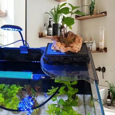 Fish Tank Corner Storage Rack Punch-free Storage Rack Fish Tank Top Landscape