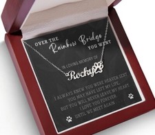 Personalized Name Necklace - In Memory Loss Of Dog Cat - Sympathy Rainbow Bridge