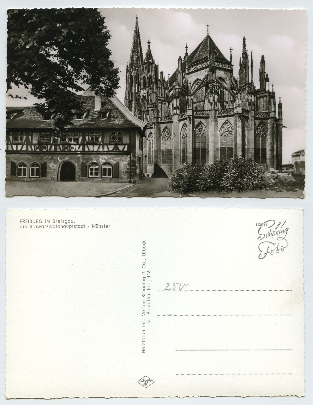 123338 - Freiburg - Münster - real photo - old postcard