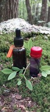 FREE 15ML VIAL INDIAN PIPE PLANT/ GHOST PIPE WITH THIS 1 OZ. BOTTLE TINCTURE