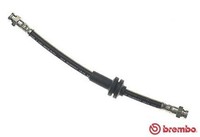 Bremsschlauch Brembo T 23 019 FüR Fiat Cinquecento Seicento 600 170AA 170AD