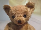 Vintage Mohair Steiff? Teddy Bear Paper Eyes — photo 2
