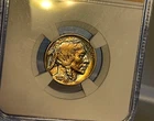 1923 Buffalo Nickel Slabbed High Grade Better Date 5C Amazing Toning!