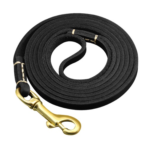 8mm Thin Genuine Leather Leash for Small Dogs Walking Show Slip Lead 130/180cm - Picture 13 of 15
