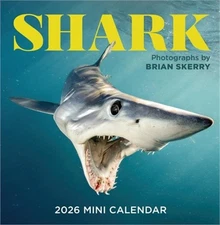 Shark Mini Wall Calendar 2026 (Calendar)