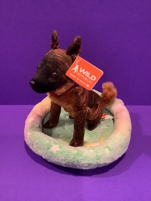 plush Belgian Malinois