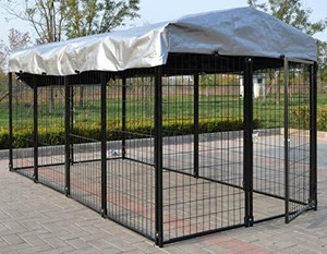 petsense dog crates