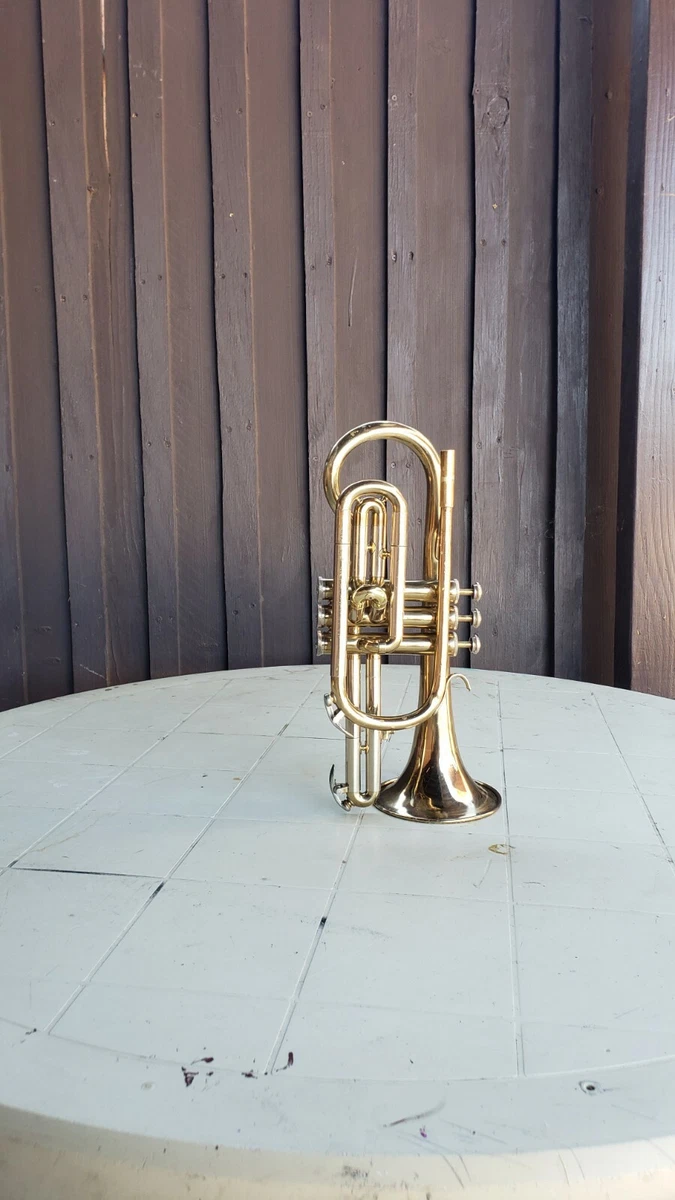 Blessing cornet online
