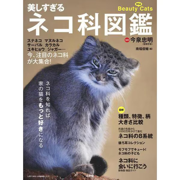 Beautiful Cat Encyclopedia Mook Wild Cats & Domestic Species Japan Import