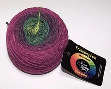 4oz Done Roving FROLICKING FEET GRADIENT DK HandPainted Merino Yarn #14 SNAP DRA