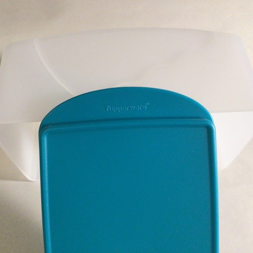 Plato de mantequilla grande Tupperware queso tamaño 1 libra tapa transparente caribeño verde azulado ¡NUEVO! - Imagen 3 de 4