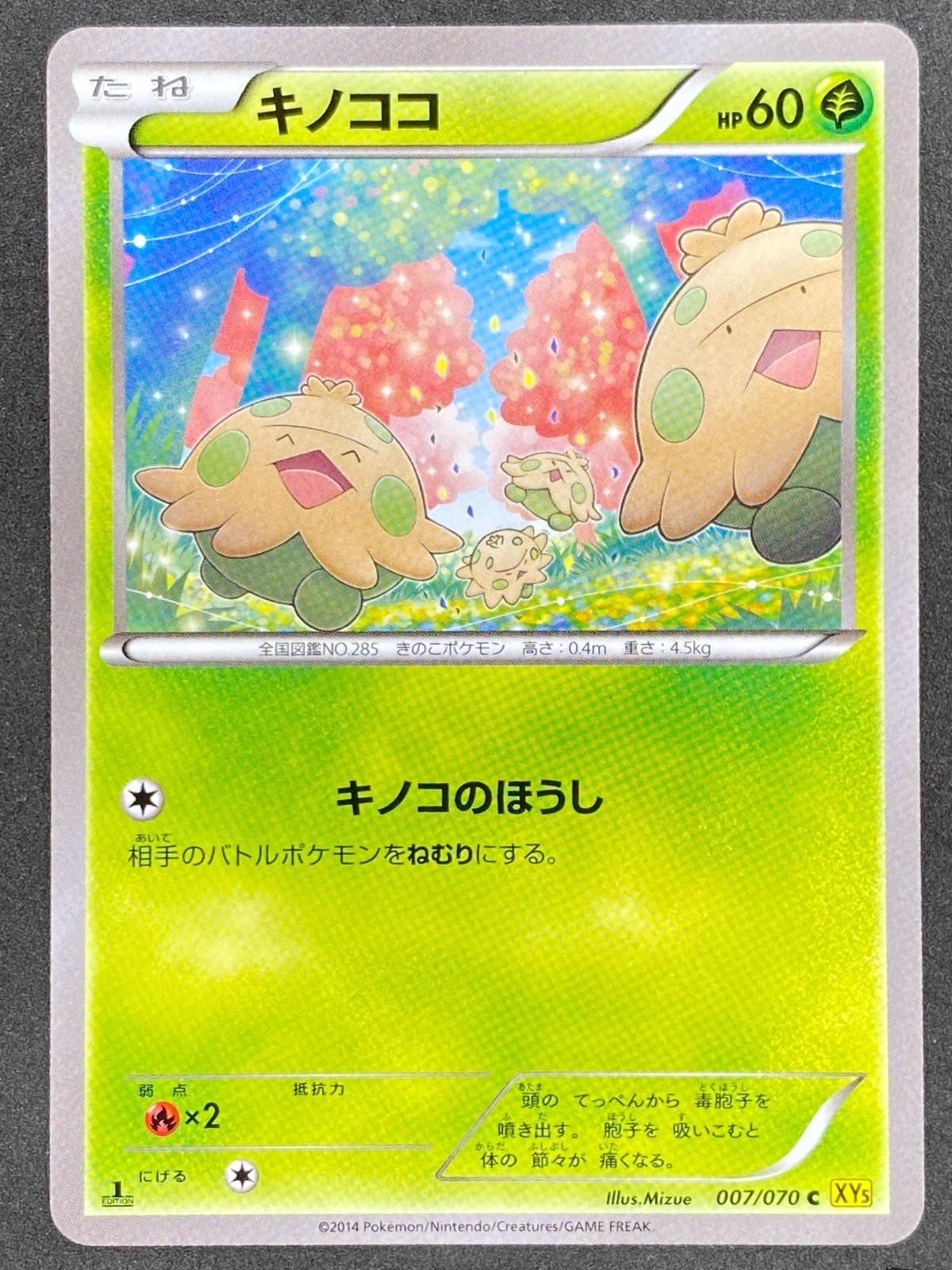 Pokémon Japanese Shroomish 007/070 XY5 Gaia Volcano 1st Edition NM
