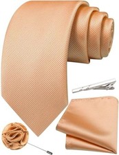Solid Color Tie and Pocket Square with Tie Clip Lapel Pin Silk Champagne Gold