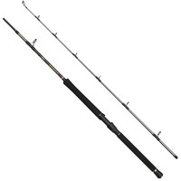 Penn Regiment Iv Boat 2.10M 20-30Lb - Angelrute, Bootsrute, Meeresrute, Rute