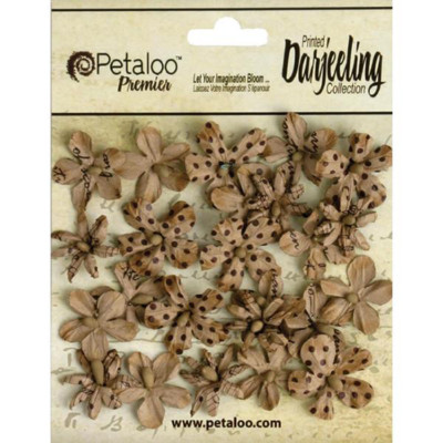 Petaloo ''WILD MIN BLOSSOMS 24 PCS. IN CRAFT BROWN'' 1481-200