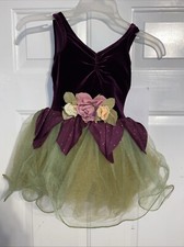 Fairy Tale Princess Curtain Call Costume Size CSM