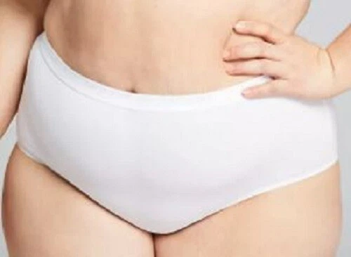 Panty Calzoncillo Completo LANE BRYANT Cacique Sassy ALGODÓN 18/20 22/24 NUEVO CON ETIQUETA Y BOLSO Foto 4 de 4