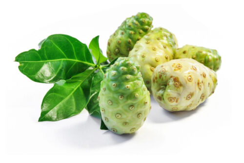 energy boost Kapseln - NONI EXTRACT 500MG 2B - Noni Maui - 2 Flaschen - Bild 4 von 12