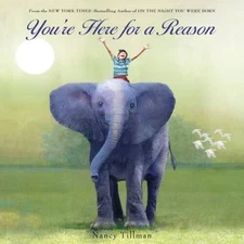 You're Here for a Reason - Board book By Tillman, Nancy - GOOD