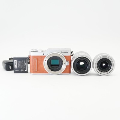 ☆美品【Panasonic】LUMIX DC-GF10 + 12-32mm Panasonic LUMIX DC-GF10 + 12-32mm + 25mm 【公式通販】