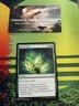 Harmonize - Secret Lair - SLD - Cute to Brute