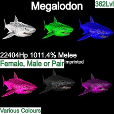 Megalodon Top Stats 362Lvl ASA PVE 🦖ARK Survival Ascended