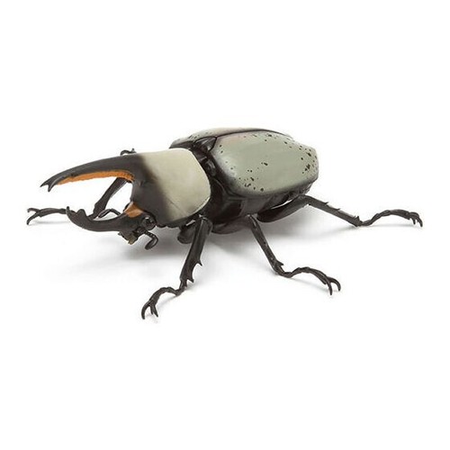 Ikimono Encyclopedia Kabutomushi 03 alle 6 Typen Set Bandai Kapsel Spielzeug von Jp - Bild 6 von 10