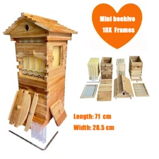 Beehive MINI 4X Self Auto Tream Honey Frames 6X Brood Frame & Bee Hive House Box