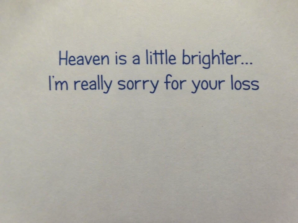 3 Cards Avanti Press with Sympathy for PET CAT Heaven is a Little Brighter - Image 3 of 4