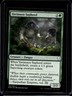 Magic the Gathering MTG Dominaria Yavimaya Sapherd #189