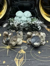 Natural Volcano Agate Chalcedony Carved Frogs Uvreactive Free ship & Gift