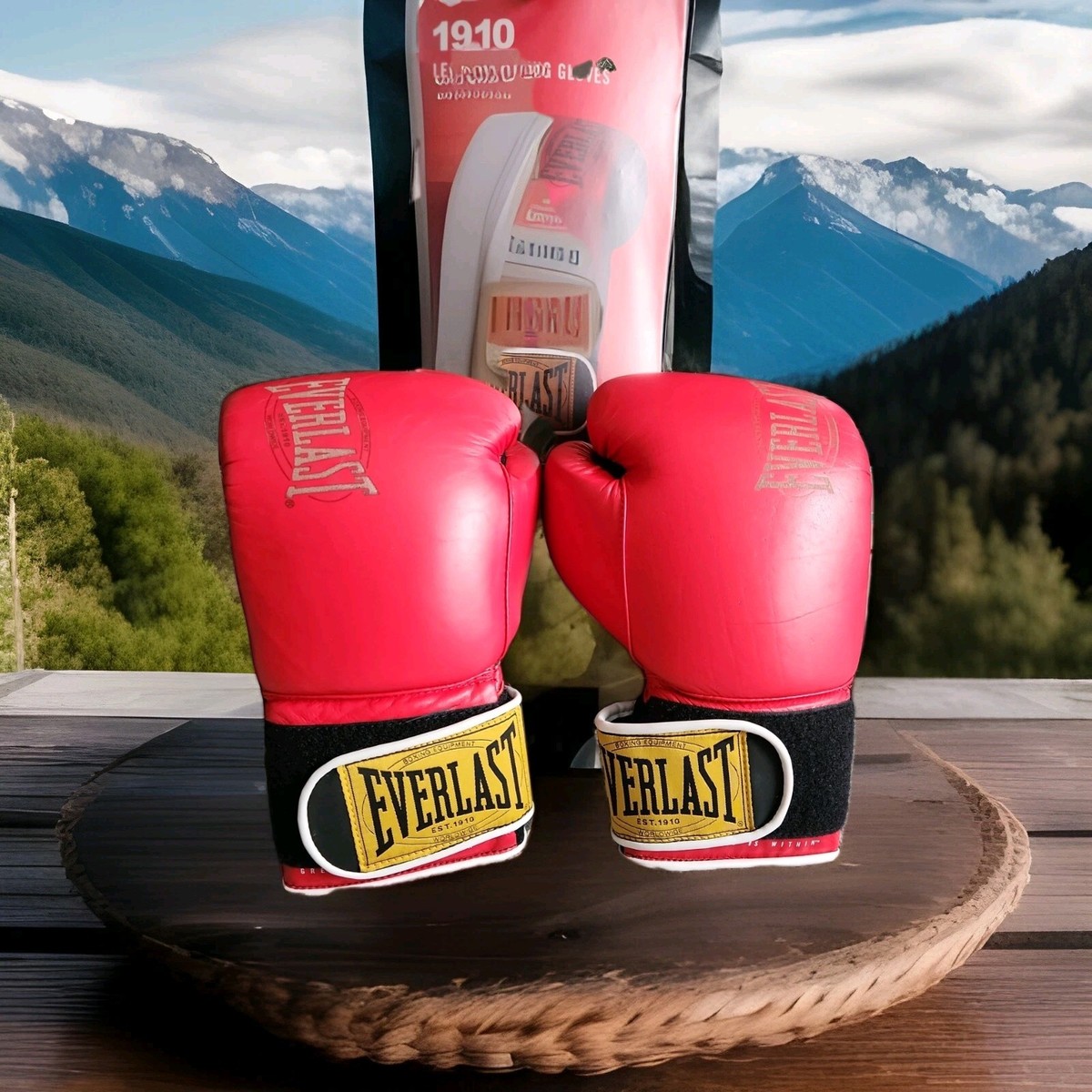 NEW EVERLAST 1910 PRO HOOK AND LOOP PREMIUM LEATHER BOXING GLOVES