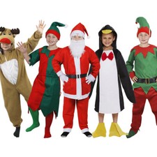 BOYS CHRISTMAS THEMED FANCY DRESS COSTUMES CHILDS FESTIVE  KIDS OUTFIT ANIMAL