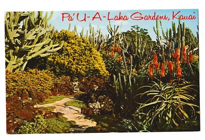 Moir's PA'U-A-LAKA GARDENS Cactus Succulents Koloa Kauia Hawaii HI Postcard