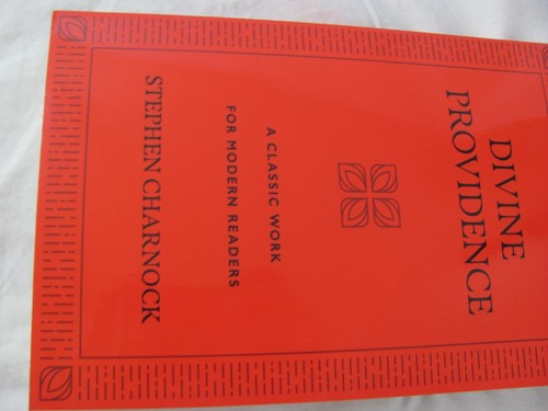 Divine Providence: A Classic Work for Modern Readers - Softcover EXCELLENT - Picture 9 of 9
