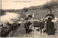 17608 cpa 23 Au Pays Creusois N°703 - Té Biquette! té ! té !