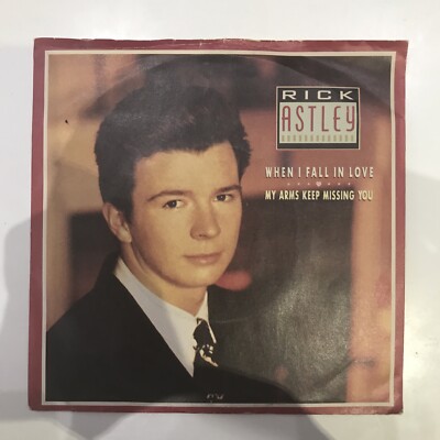 Rick Astley -  When I Fall In Love 7  Vinyl Pop BMG Records Top Condition