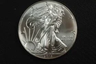 NobleSpirit (LG) Superb Gem BU 2013 American Silver 1oz Eagle